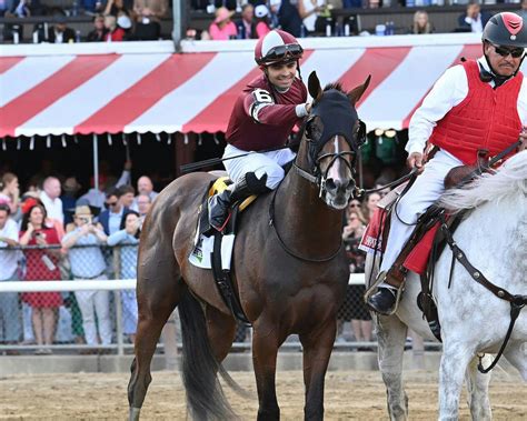 how to bet the belmont stakes|Belmont Stakes Betting Odds, Tips & News .